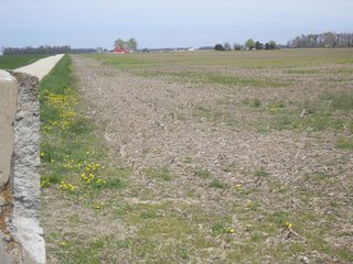 <li> 342.76 Acres with 333 +- acres of high quality cropland in excellent condition.
<li> 9+- Acres roads, ditches, and woodland.
<li> 6 tax parcels offered in (2) farms being mainly contiguous.
<li> Frontage on numerous Randolph County roads and easy access to US 27, SR 36 and only 15 miles north of I-70.
<li> Easy operation with generally rectangular fields.
<li> Premium Soils with the predominant soils being Patton Silty clay loam, Fincastle-Crosby, and Celina silt loams.
<li> Owner will cooperate in buyerÃƒÆ'Ã‚Â¢ÃƒÂ¢Ã¢â‚¬Å¡Ã‚Â¬ÃƒÂ¢Ã¢â‚¬Å¾Ã‚Â¢s tax exchange.
<li> Farms have been owned by same Estate for over 50 years and are under excellent operations and are in very good conditions.
<li> 20 Miles to (2) Ethanol Plants, Strong local grain markets.
<li> Offered as (2) separate farms.
<li> USDA payment of $20/acre (2012).
<li> Offered at:
		$8,450 /Acre or
		FARM 1: $1,335,100.00
		FARM 2:  $1,561,222.00
<br>
All offers will be subject to a FIRST RIGHT OF REFUSAL per will of Donamae Banning. - Prime Indiana Cropland - 342.76 Acres Offered in 2 Separate Farms